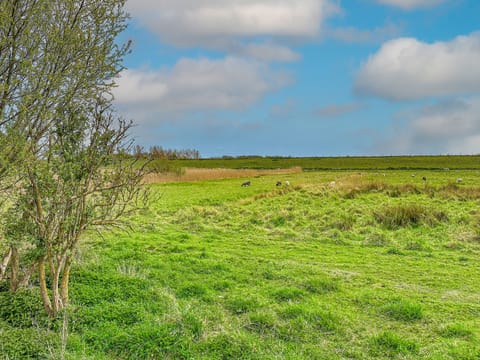 Immediate Surroundings [summer] (&lt;1 km)