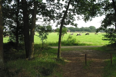 Holiday Park Facilities and Services