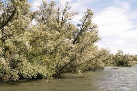 Surroundings [summer] (1-5 km)