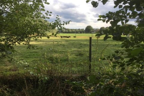 Region [summer] (&gt;5 km)