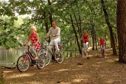 Immediate Surroundings [summer] (&lt;1 km)