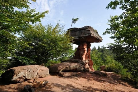 Surroundings [summer] (1-5 km)