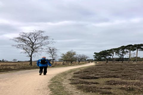 Surroundings [summer] (1-5 km)