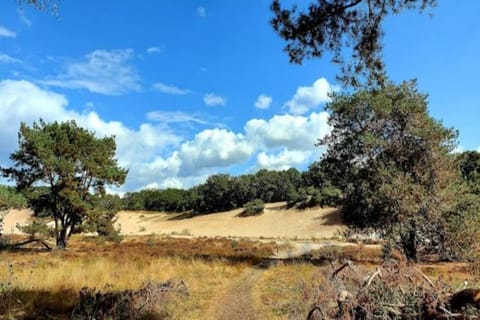 Region [summer] (&gt;5 km)