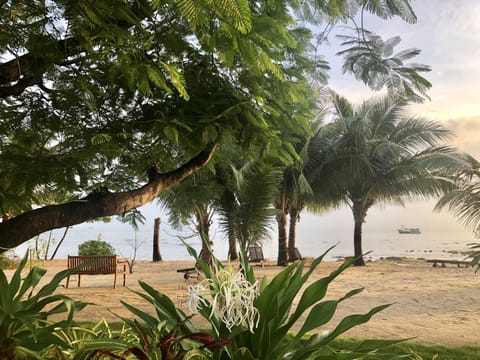 Private beach, kayaking