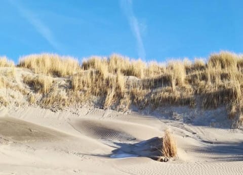 Bungalow | View from property