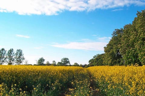 Surroundings [summer] (1-5 km)