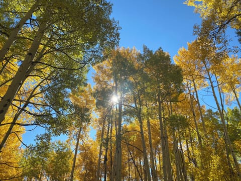 Sunlight Mountain Resort in the fall