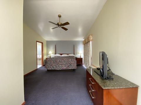 Room, 1 King Bed (Jacuzzi) | Desk, iron/ironing board, free WiFi