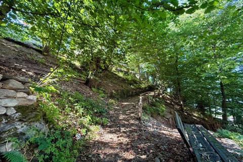 House entrance (55 steps)