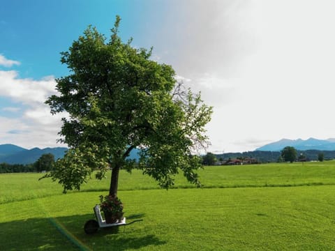 Surroundings [summer] (1-5 km)