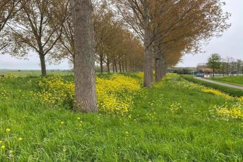 Region [summer] (>5 km)