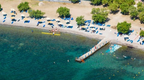 House | 2 bedrooms, Internet