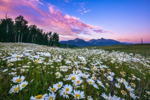 House, 4 Bedrooms | Miscellaneous