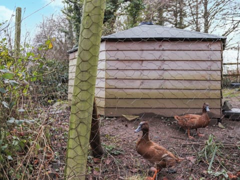 Surrounding area | The Lodge - Island Hut Retreats, Rhosmeirch, near Benllech