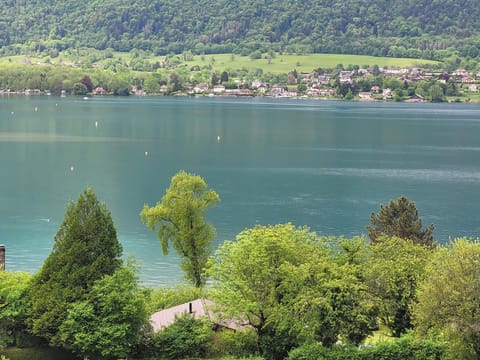 Wing foiling all the time...