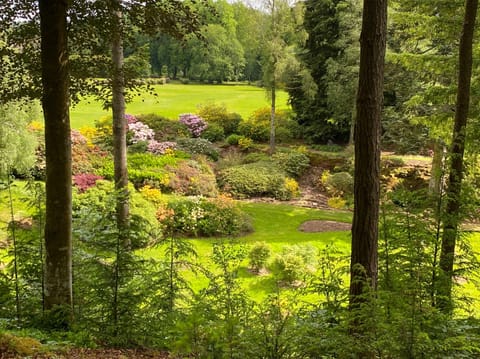 Cottage | Property grounds