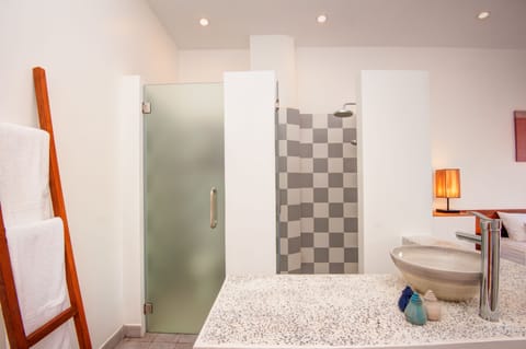 Superior Single Room | Bathroom | Shower, free toiletries, hair dryer, slippers