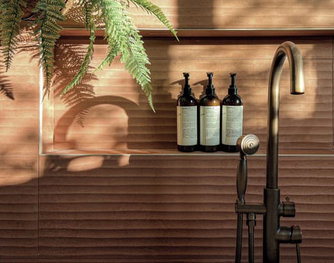 Spa Suite | Bathroom | Hair dryer, towels, soap, shampoo