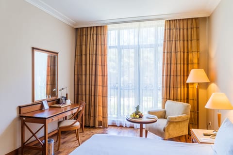 Standard Room, 1 Double Bed, Accessible | Room amenity