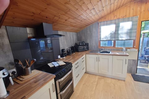 Cabin | Private kitchen | Fridge, microwave, oven, stovetop