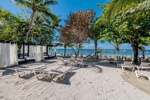 Private beach, sun loungers, beach towels, scuba diving