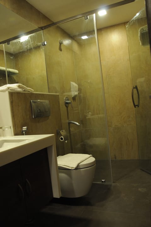 Executive Double or Twin Room, 1 Bedroom | Bathroom | Shower, hydromassage showerhead, free toiletries, hair dryer