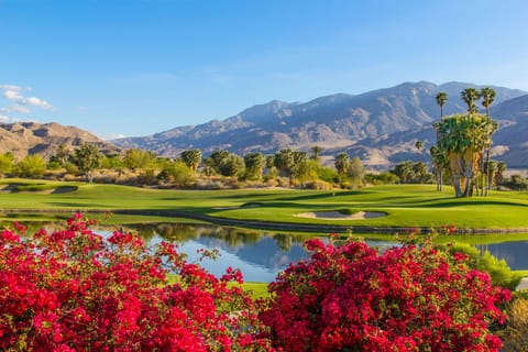 Experience the beauty of Palm Springs with well-manicured golf courses and vibrant landscapes, ideal for outdoor enthusiasts and nature lovers alike.