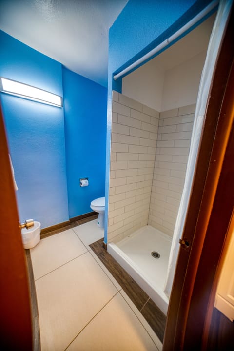 Basic Room, 1 King Bed, Non Smoking | Bathroom | Combined shower/tub, free toiletries, towels