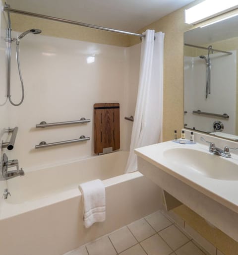 Standard Room, 1 King Bed, Accessible (No View, No Balcony) | Bathroom | Shower, hair dryer, towels