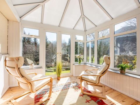 Furniture, Wood, Interior Design, Cabinetry, Kitchen, Flooring, Countertop, Cupboard, Room, Wood Stain