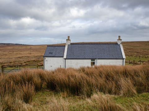 Furniture, Wood, Interior Design, Cabinetry, Kitchen, Flooring, Countertop, Cupboard, Room, Wood Stain