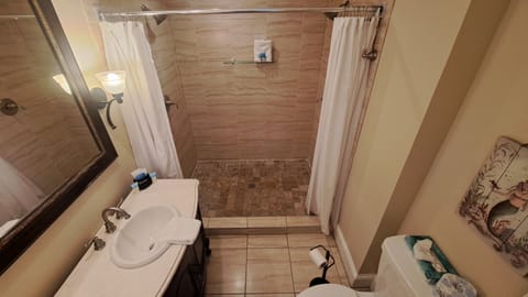 Two Queen Room 205 | Bathroom | Free toiletries, hair dryer, towels