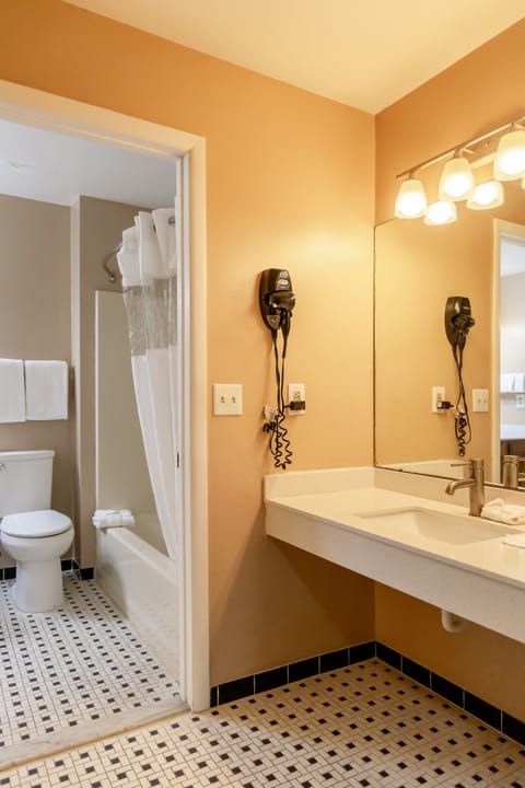 Premium Suite | Bathroom | Combined shower/tub, eco-friendly toiletries, hair dryer, towels
