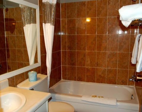 Combined shower/tub, free toiletries, hair dryer, towels