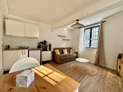 Bright studio with kitchen corner, sofa bed and TV.