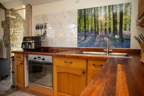 Kitchen area with electric oven