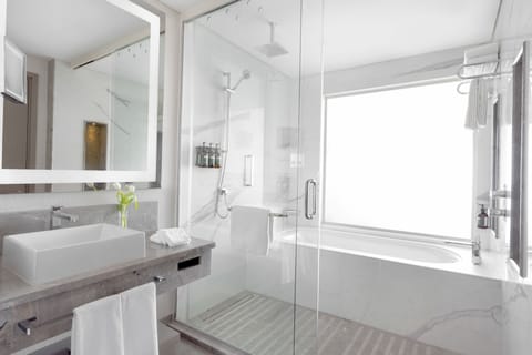 Combined shower/tub, rainfall showerhead, designer toiletries