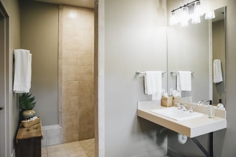 Suite 4 | Bathroom | Shower, free toiletries, hair dryer, bathrobes