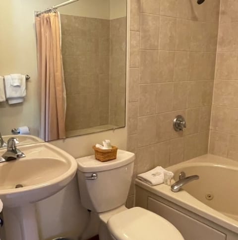 Deluxe King Suite, Pull Out Couch, Fireplace and Jetted Tub (206) | Bathroom | Free toiletries, hair dryer, bathrobes, slippers