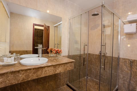Deluxe Double Room | Bathroom | Free toiletries, towels