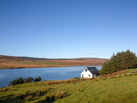 Outdoor Furniture, Garden, Outdoor Table, Chair, Shade, Landscaping, Backyard, Yard, Eco Hotel, Kitchen & Dining Room Table