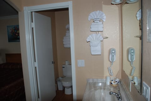 Combined shower/tub, free toiletries, hair dryer, towels