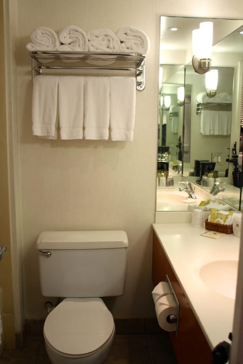 Standard Room, 1 King Bed, Garden View | Bathroom | Hair dryer, towels, soap, shampoo