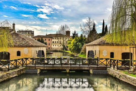 Region [summer] (&gt;5 km)