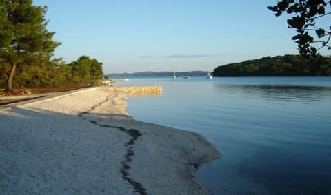 Region [summer] (&gt;5 km)