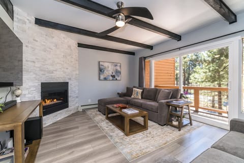 Living room with fireplace and queen size sofa bed