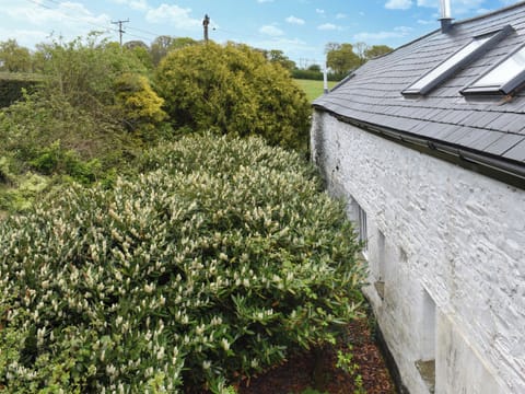 Exterior | The Coach House - Sprytown Cottages, Lifton