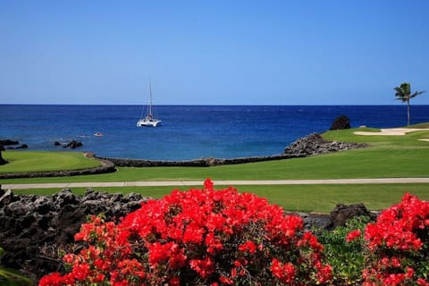 Tee off in paradise where manicured greens meet lava rock cliffs and sailboats drift in the blue horizon.