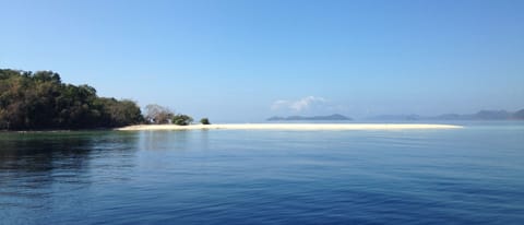 On the beach, sun loungers, beach massages, scuba diving